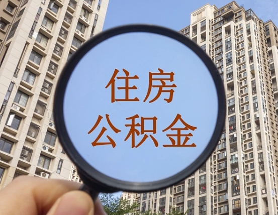 临朐退休后查不到公积金明细了吗（退休后公积金查询不到原因）